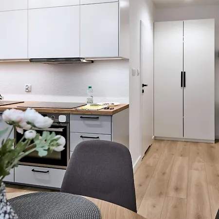 Zelazna Modern Studio Appartamento Poznań